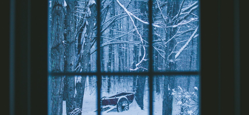 Snow-covered forest with an old red cart seen through a window – calm winter mood symbolising the winter blues