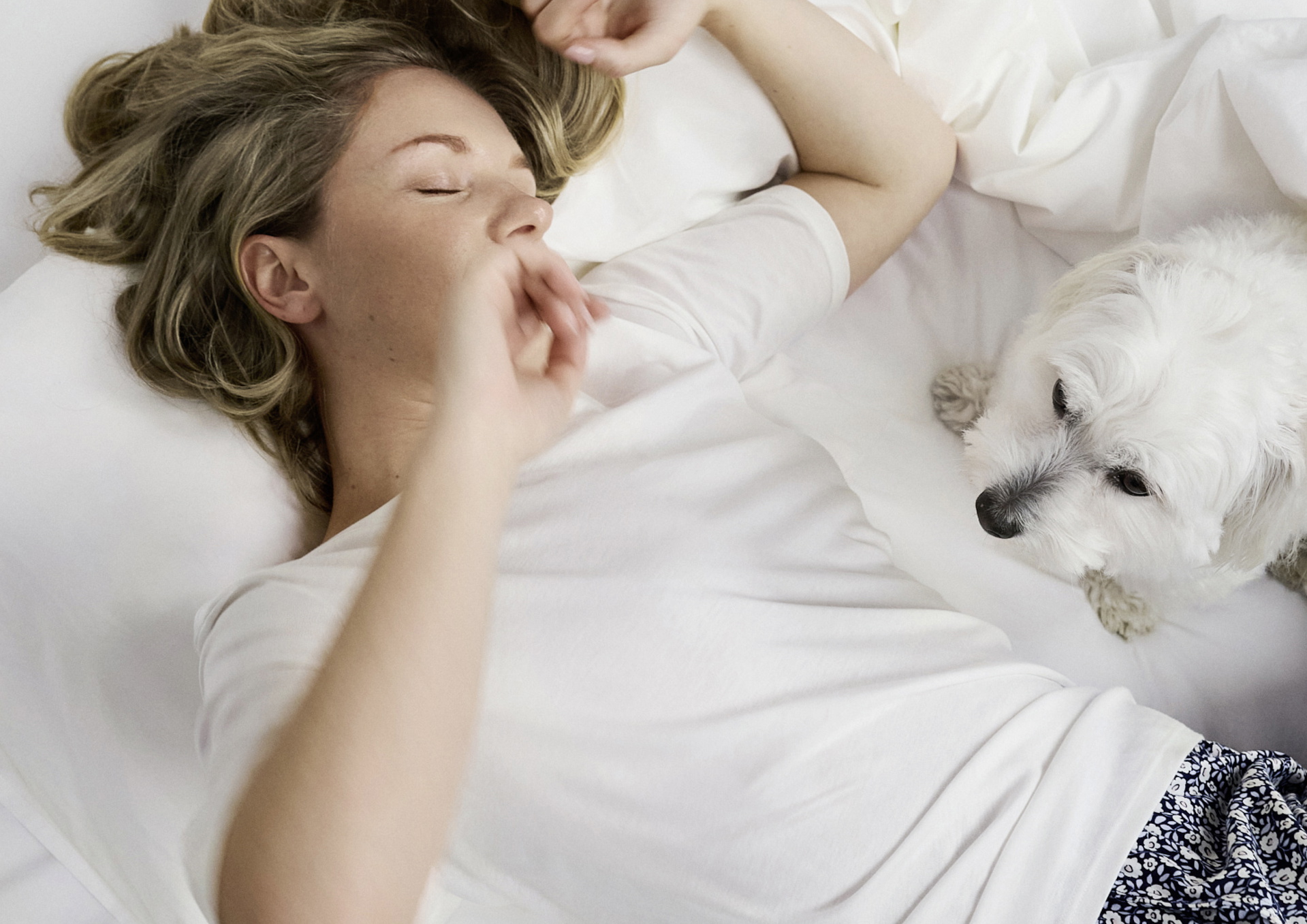 Person liegt in weissem Bett und trägt weisses Shirt sowie gemusterte Pyjamahose von CALIDA; kleiner weisser Hund kuschelt sich nah dazu, ruhige Morgenszene