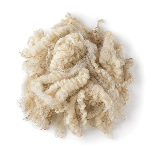 Virgin wool icon